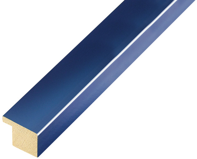 Bilderleiste Ayous flach 20mm breit 14hoch - blau glänzend