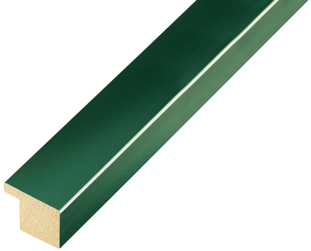 Bilderleiste Ayous flach 20mm breit 14hoch - grün glänzend - 13VERDE