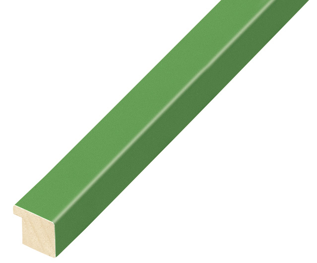 Bilderleiste Ayous flach 15mm breit 14 hoch - Grün