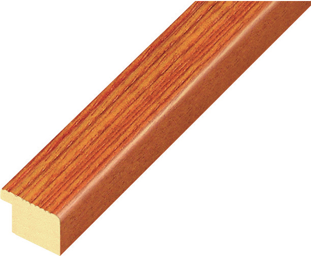 Bilderleiste Ayous flach 20mm breit 14 hoch - Orange