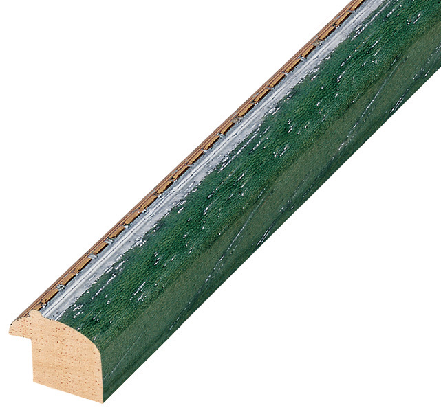 Bilderleiste Ayous Breite 17 mm grün mit goldener Zierleiste - 211VERDE