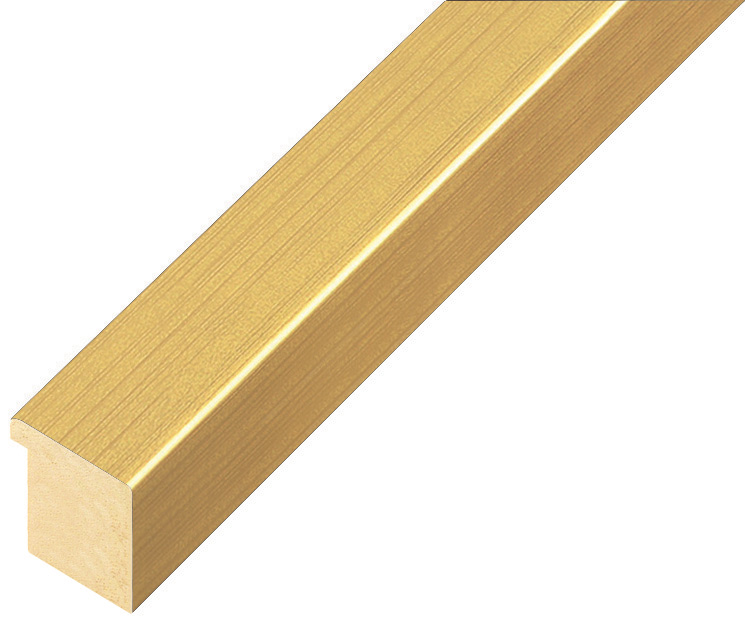 Bilderleiste Ayous flach 20mm breit 20 hoch - Gold