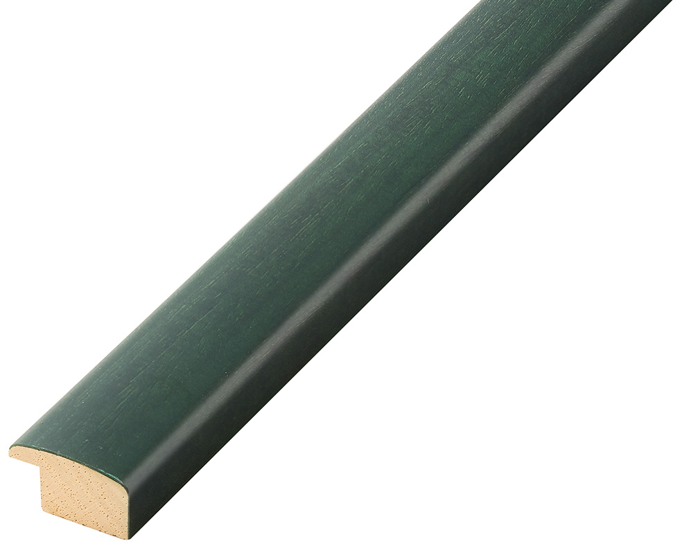 Bilderleiste Ayous 23 mm breit 13 mm hoch - Grün - 272VERDE