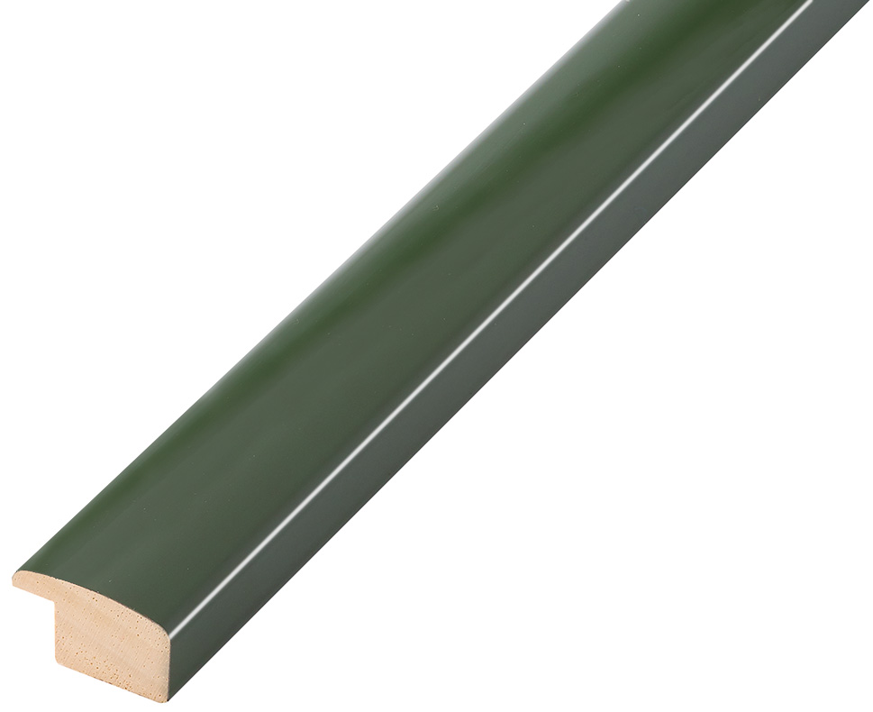 Bilderleiste Ayous flach 23 mm breit 13 hoch - Grün glänzend - 279VERDE