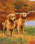 Gemälde: Hunde - 30x40 cm