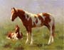 Gemälde: Pferde - 30x40 cm