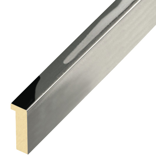 Bilderleiste Ayous flach 10 mm breit 25 hoch - Silber glänz. - 601ARGLUC