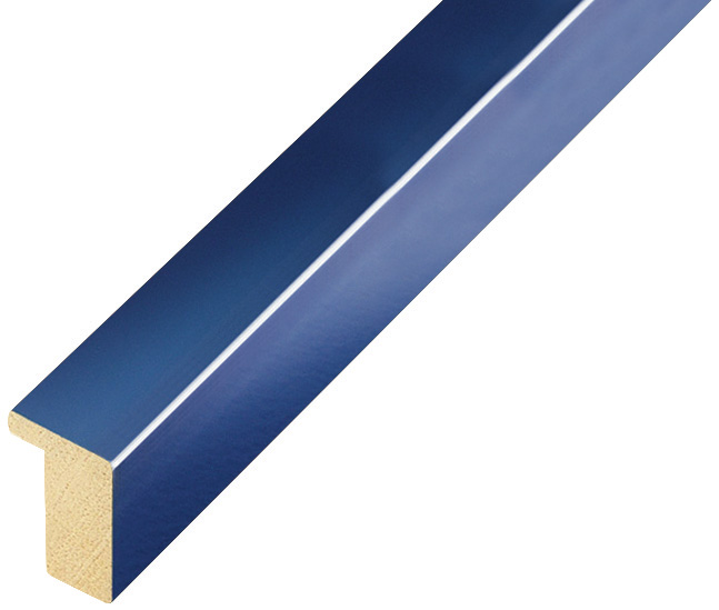 Bilderleiste Ayous flach 15 mm breit 25 hoch - Blau glänzend - 607BLU