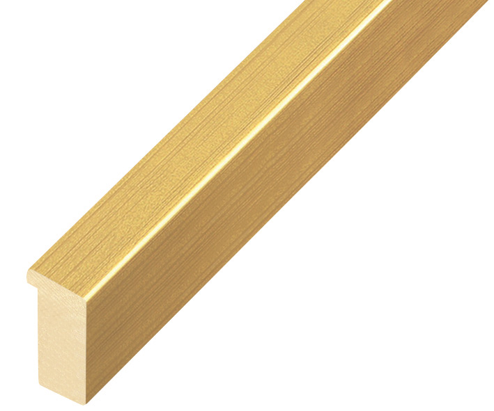 Bilderleiste Ayous flach 15 mm breit 25 hoch - Gold