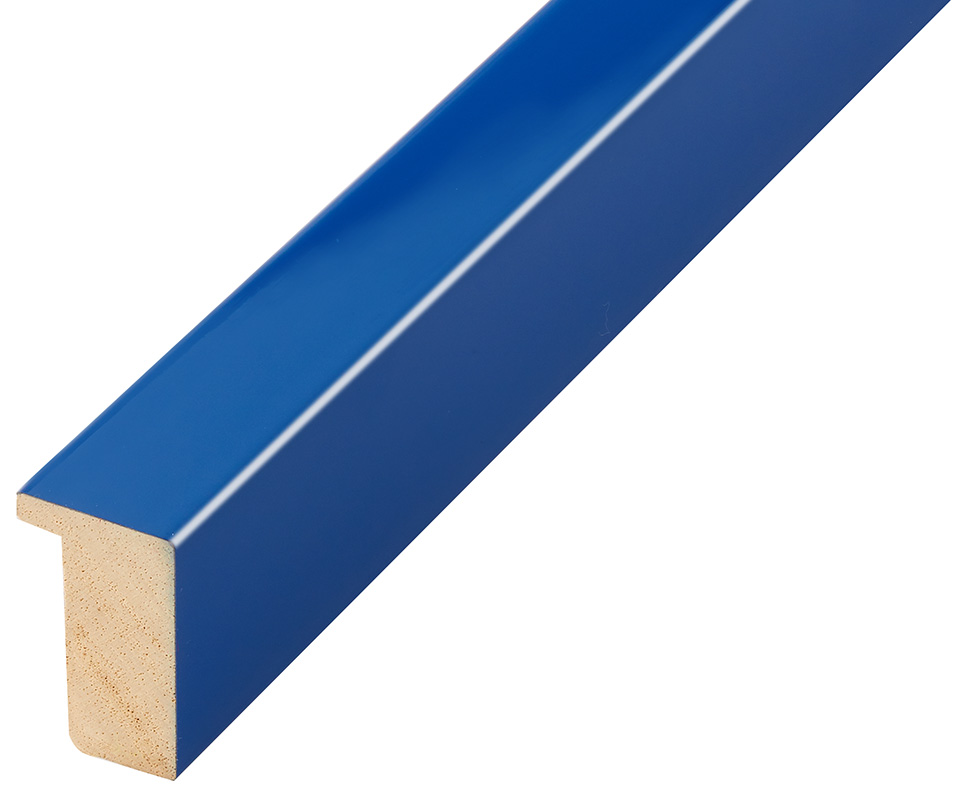 Bilderleiste Ayous flach 20 mm breit 32 hoch - Blau glänzend - 613BLU