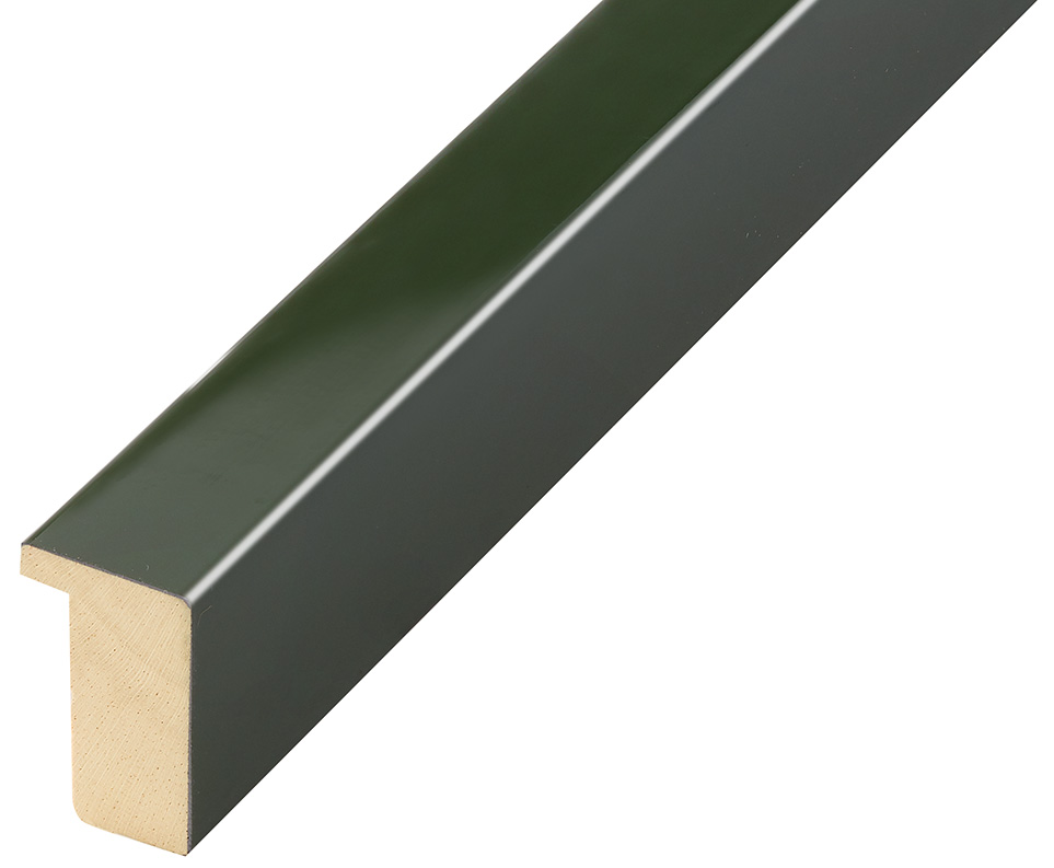 Bilderleiste Ayous flach 20 mm breit 32 hoch - Grün glänzend - 613VERDE