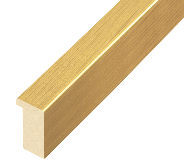 Bilderleiste Ayous flach 20 mm breit 32 hoch - Gold