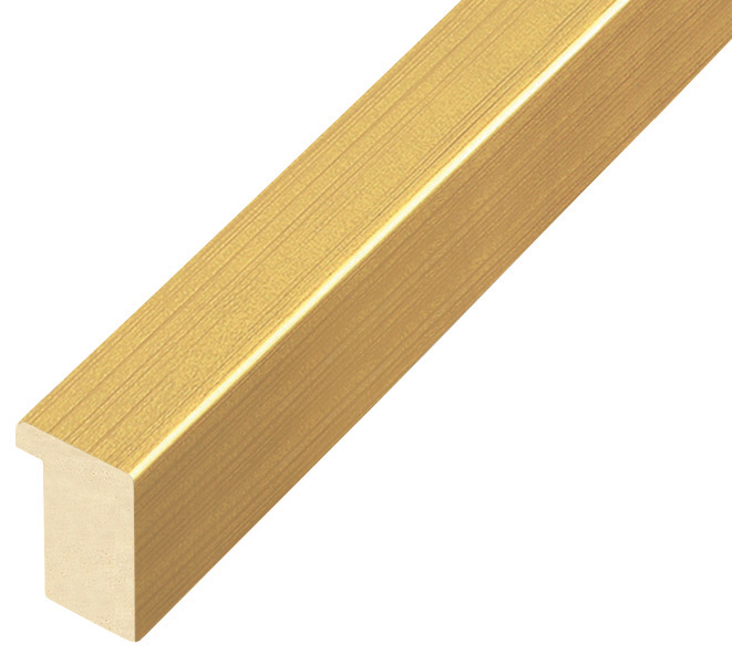 Bilderleiste Ayous flach 20 mm breit 25 hoch - Gold