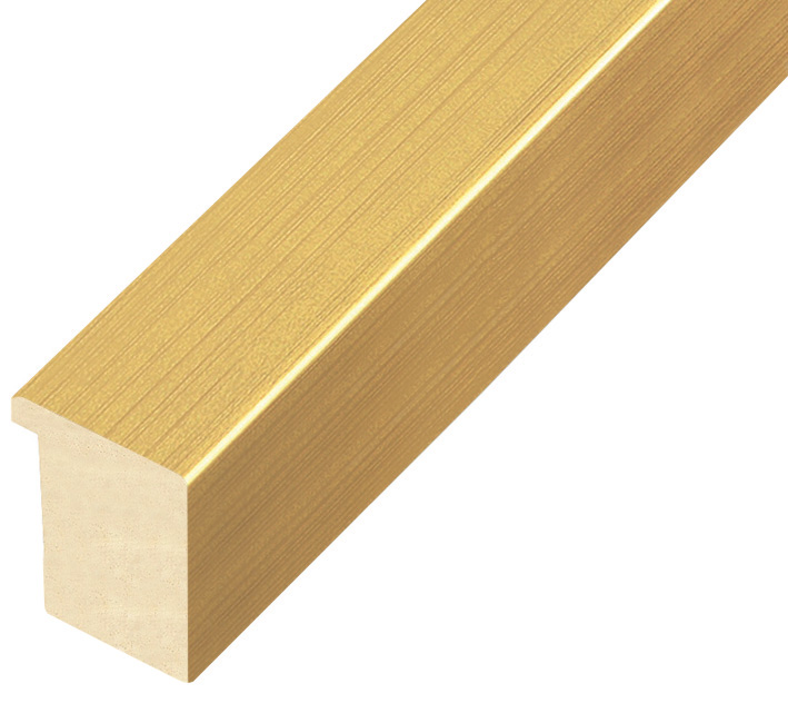 Bilderleiste Ayous flach 30 mm breit 32 hoch - Gold - 730ORO