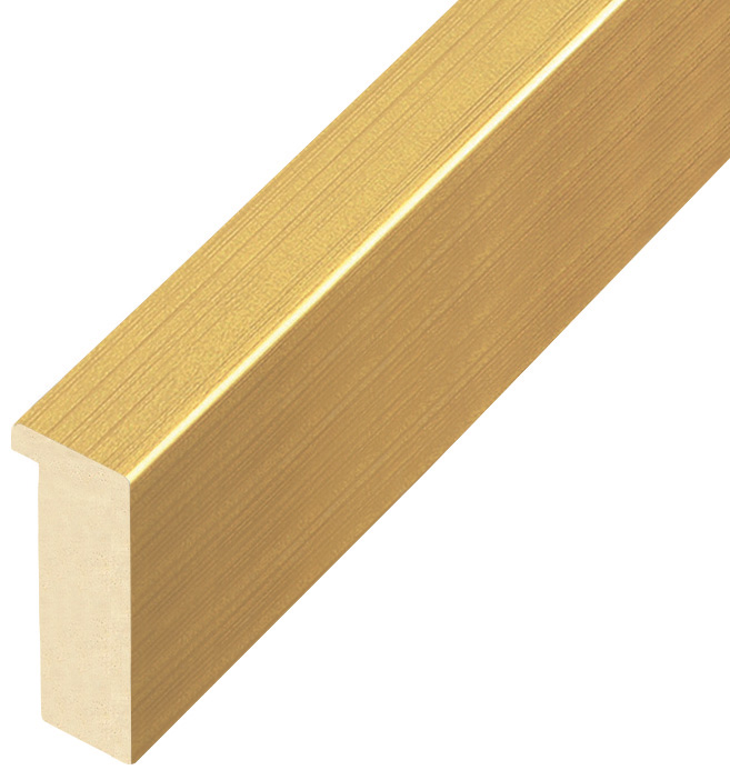 Bilderleiste Ayous flach 20 mm breit 45 hoch - Gold - 823ORO
