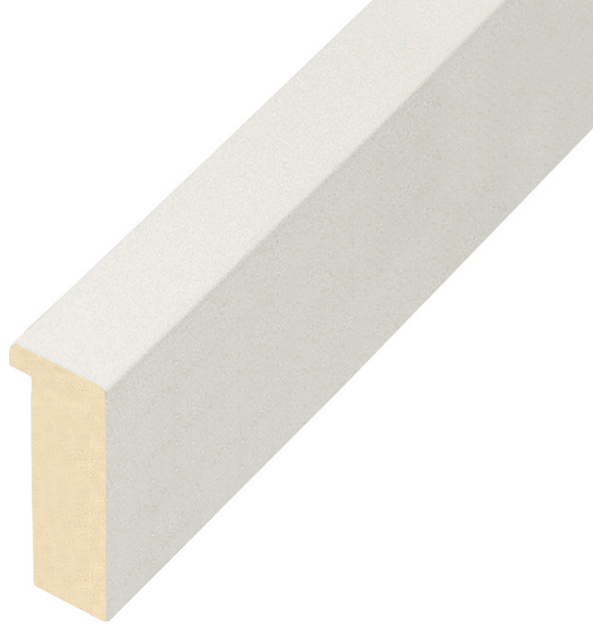 Bilderleiste Ayous flach 20 mm breit 45 hoch - Weiss matt - 823BIANCO