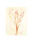 Lithographie: Treccani: 