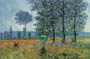 Poster leinwandkasch.: Monet: Felder im Frühling 120x90