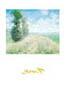 Poster: Monet: Paysage - 50x70 cm