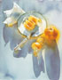 Poster: Marlies Merk: Morning - 60x80 cm