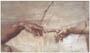 Poster: Michelangelo: Creazione - Einzelheit - 80x56 cm