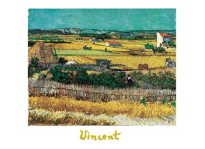Poster: Van Gogh: Campi - 50x40 cm