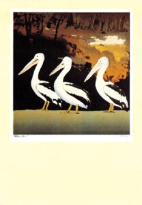 Poster:Ardell: Pelicans - 62x89 cm
