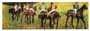 Poster: Degas: Racehorses - 35x100 cm