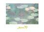 Poster: Monet: Ninfee - 30x24 cm