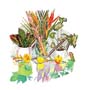 Poster: Aviram: Exotic Flowers -  68x66 cm