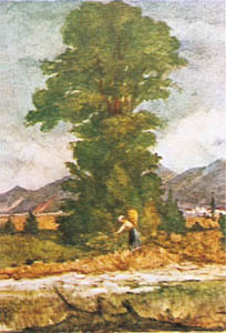 Drucke: Ghedini: Der Baum - 50x70 cm
