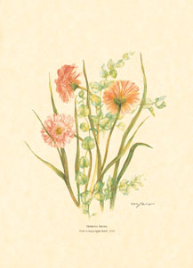 Drucke: Abgeschnittene Blumen - 50x70 cm