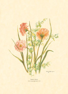 Drucke: Abgeschnittene Blumen - 13x18 cm