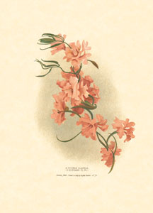 Drucke: Orientalische Blumen - 25x35 cm