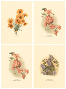 Drucke: Orientalische Blumen - Serie zu 4 Stück 18x24 